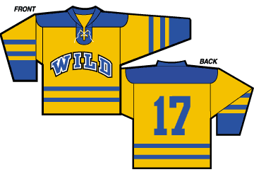 Hockey jerseys